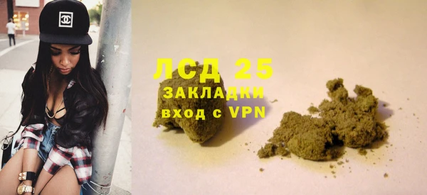 гидра Арсеньев
