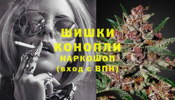 гидра Арсеньев