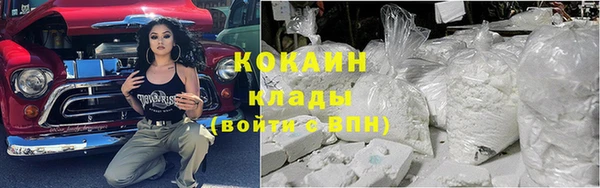 гидра Арсеньев