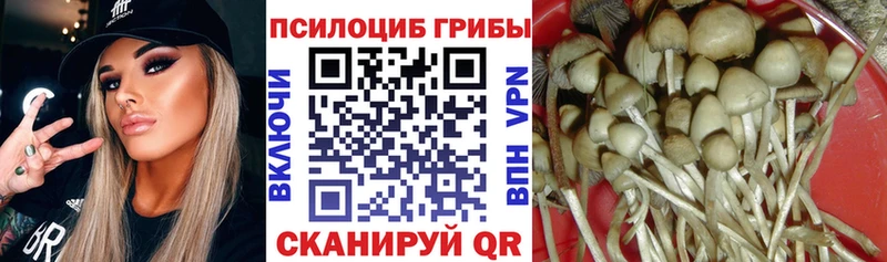 даркнет сайт  Туринск  Галлюциногенные грибы мухоморы 