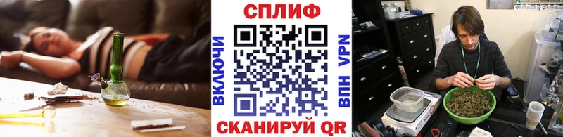 Конопля гибрид  как найти   Туринск 